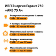 ИБП для котла Энергия Гарант 750 + Аккумулятор 75 Ач 12 В (450Вт - 91мин) - ИБП и АКБ - ИБП для котлов - . Магазин оборудования для автономного и резервного электропитания Ekosolar.ru в Черкесске
